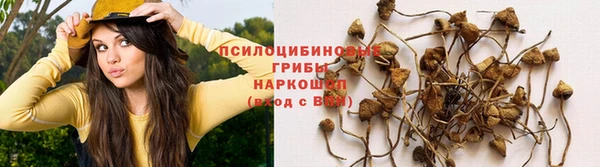 а пвп мука Алексин