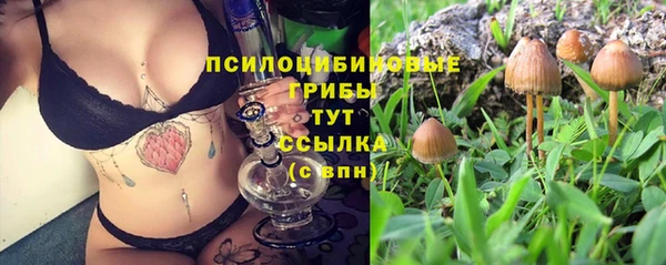 ПСИЛОЦИБИНОВЫЕ ГРИБЫ Алзамай