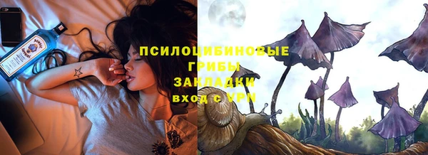 ПСИЛОЦИБИНОВЫЕ ГРИБЫ Алзамай