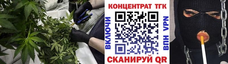 ТГК концентрат Олонец